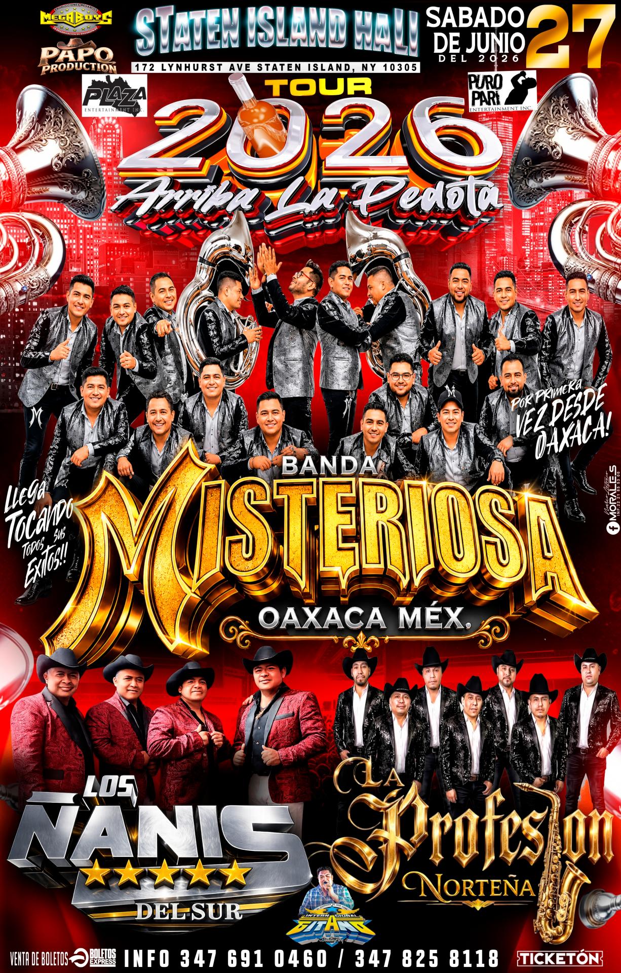 BANDA MISTERIOSA | LOS ÑANIS DEL SUR | LA PROFESION NORTEÑA